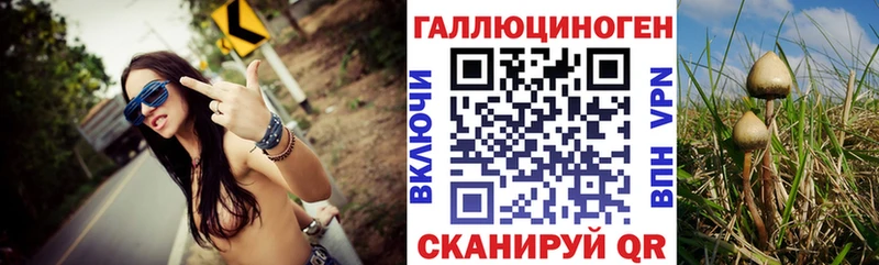 Галлюциногенные грибы MAGIC MUSHROOMS  Петровск-Забайкальский 
