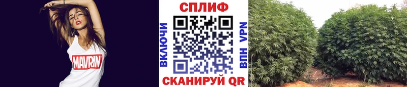 Канабис гибрид Петровск-Забайкальский